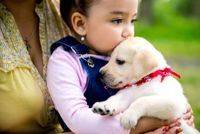 lanae, jackson, breeder, child, puppies, for, sale, lanae-jackson-breeder, dog-breeder, puppy, mill, usda, inspected, inspection, records, for sale, lanae jackson